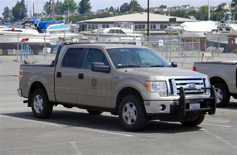 fish and game washington|washington fish and game reporting.